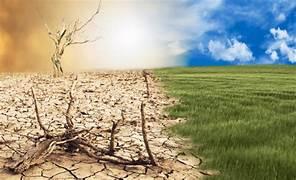 La crisi climatica fa pagare soprattutto i più poveri. Anche alle Hawaii