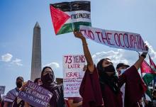 Pro Palestina