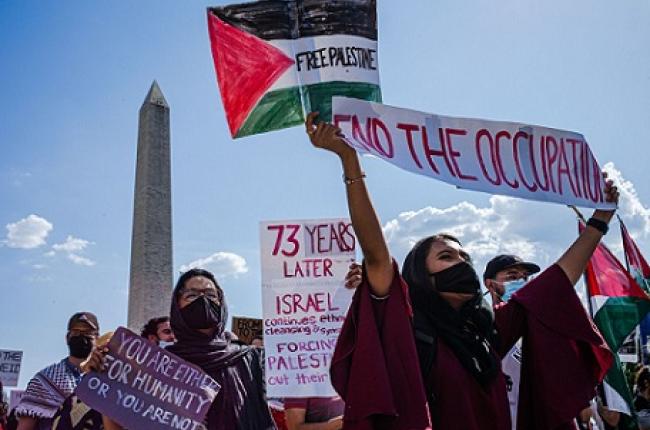 Pro Palestina